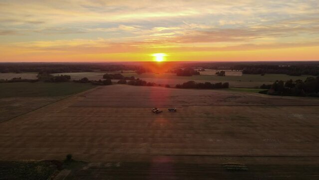 Sunset combine harvester in the cornfield