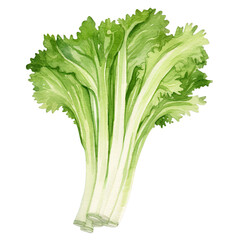 AI-generated watercolor Celery clip art illustration. Isolated elements on a white background.