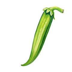 AI-generated watercolor Okra clip art illustration. Isolated elements on a white background.