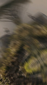 Social Elegant Spin Transition Toolkit | Drag and Drop Style