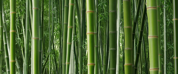 Repeating Bamboo Thicket Pattern