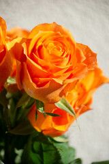オレンジ色のバラ