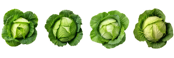 Set of green cabbage top view isolated on white or transparent background