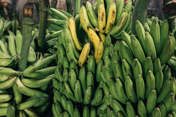 Close-up of plantain bunches at a street market in the Peruvian amazonian