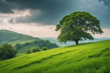 Fototapeta na wymiar Lush meadow on hill with tree under cloudy sky