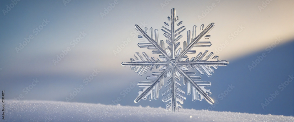 Poster macro photography of a genuine snowflake on glass, showcasing its intricate design against a soft gr