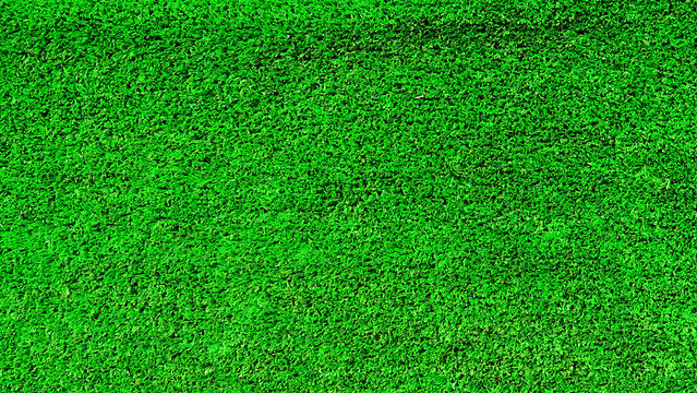 Beautiful green wall photo, greenery background , pretty green wallpaper