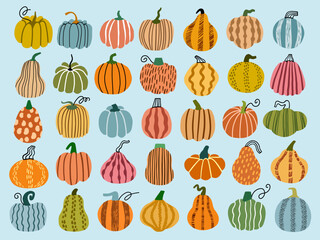 Pumpkin vector hand drawn illustration set	