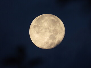 Moon on the background of leaves and clouds