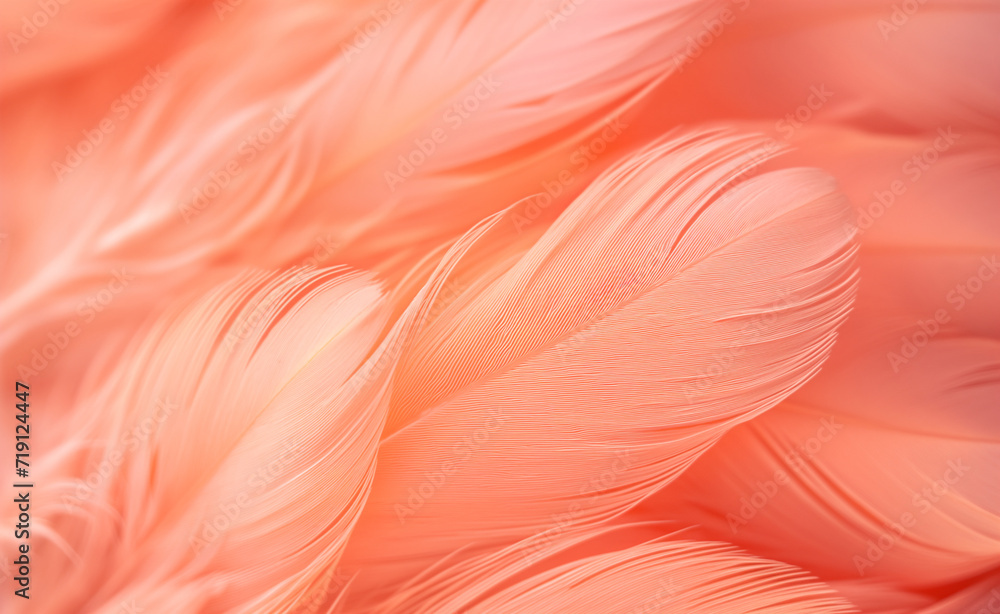 Poster peach fuzz feathers: selective focus background. peach fuzz color of the year 2024