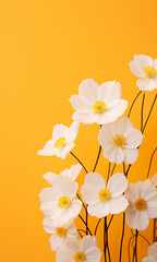 white flowers on yellow background.Minimal creative nature concept with copy space.Flat lay,top view.Generative Ai