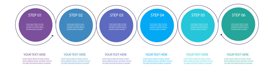 6 step Vector infographic design template	