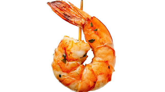 shrimp on a white background