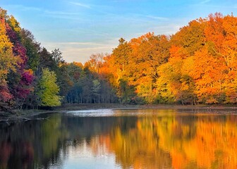 Trees with autumn colors of yellow, red, and gold reflected in the lake they line