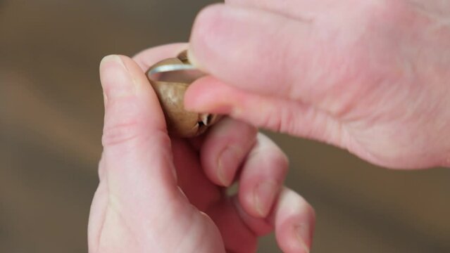 Peeling macadamia nuts hands of man with key to open shell close-up.