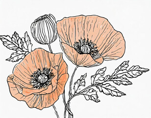 Hand drawn wildflowers, black outlines poppy isolated illustration, wedding stationery element1 - Copy.jpg