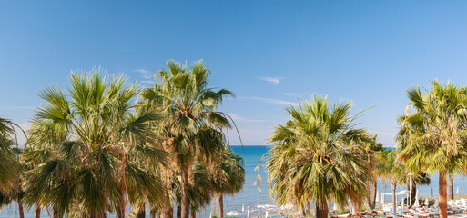 Fototapeta na wymiar Sea resort with palm trees