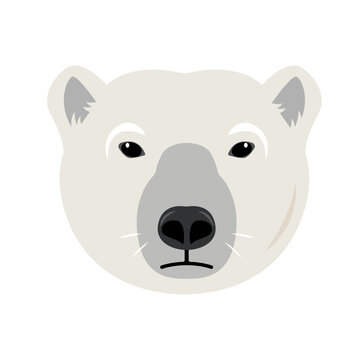 White Polar Bear head or face front view. Wild polar Bear animal of the Arctic and the Arctic Circle. Vector icon illustration isolated on white background.