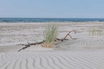Beautiful landscapes of sand dunes against the background of the ocean. Wavy sand background, dunes and views in Slowinski National Park, Leba, Poland. 