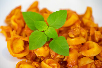 Traditional stuffed capeletti pasta with tomato sauce served on a white plate.