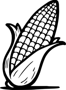 recommend clip art: hand drawn vector illustration of a corn