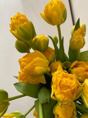 Elevate your decor with 'Sunny Elegance' – a radiant bouquet of yellow tulips in a chic white...
