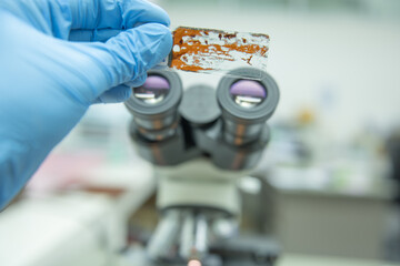 A pathologist is making a diagnosis from a slide of a specimen.