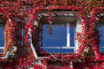 Nancy, France - October 9th 2022 : Window of a building with the reflection of the blue sky...