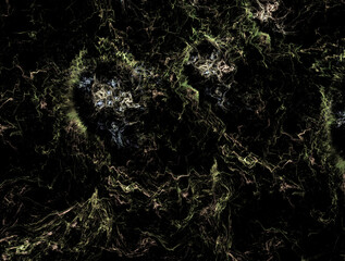 Imaginatory fractal abstract background Image