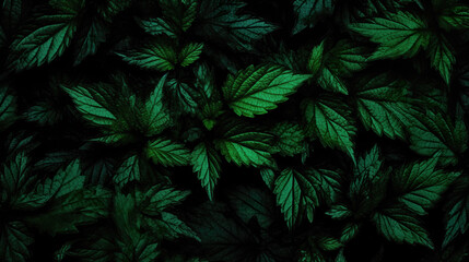 beautiful photorealistic inspired green tropical leaves, wallpaper design