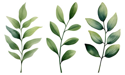 watercolor branches of leaves, Greenery clipart PNG