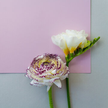 Soft flowers against a neutral background with pink accent