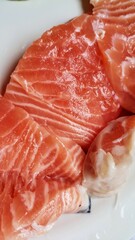 raw salmon fillet