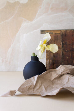 beige aesthetic still life composition with black vase, iris and wood and paper texture