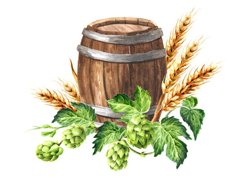 Beer, Octoberfest concept. Hand drawn watercolor illustration isolated on white background