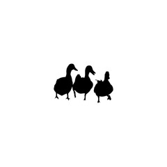    Duck icon for web and app. Isolated black silhouette on white background. Silhouettes of wild and domestic ducks. Rubber duck silhouette. Wild and domestic silhouettes