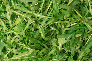 Fototapeta premium Fresh leaves of arugula as a background.