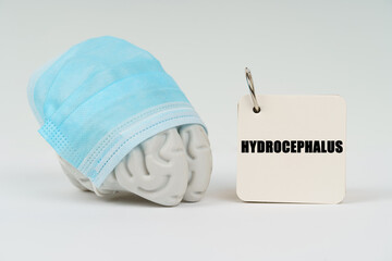 On a white surface next to the brain there is a notepad with the inscription - Hydrocephalus