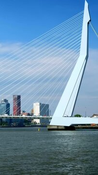 View of Rotterdam cityscape and Erasmus bridge over Nieuwe Maas. Rotterdam, Netherlands. With camera panning