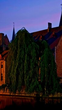 Famous view of Bruges tourist landmark attraction - Rozenhoedkaai canal with Belfry and old houses along canal with tree in the night. Brugge, Belgium. Camera pan