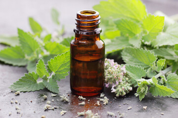 lemon balm or melissa essential oil in glass bottle with fresh leaves and flowers on black table, closeup, copy space, massage and spa, cosmetics ingredient, natural healthy hair and face care concept