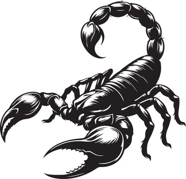 vector illustration of scorpion