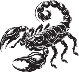 Scorpion vector illustration 