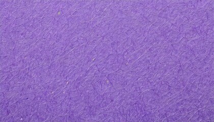Fototapeta premium background from sheet of color violet fiber paper
