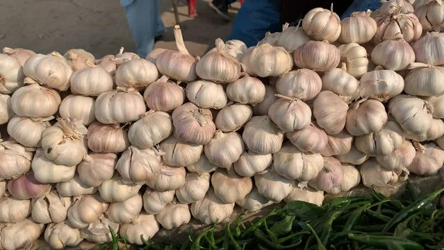 Close-up whole garlic for sale at a local farmers market. Bunch of fresh white garlic. Display view of white garlic heads. Fresh garlic is a healthy vegetable.