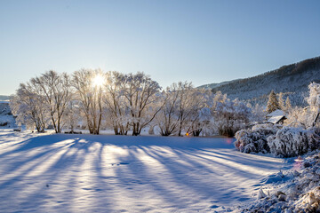 Naklejka premium Winter landscape, mountains and trees in the snow, the sun is shining brightly.
