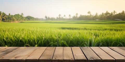 Empty wooden table with blurred morning paddy field in background for product display advertisement mock-up.
