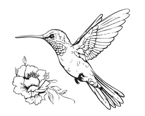 Flying Hummingbird and flowers. nice drawing and illustration for print, tattoo