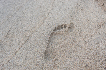 Human footprint in yellow caribbean beach sand