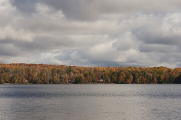 Autumn landscape with lake and trees in a cloudy morning